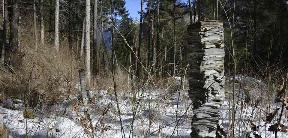 Papierturm im Jungholz 2013